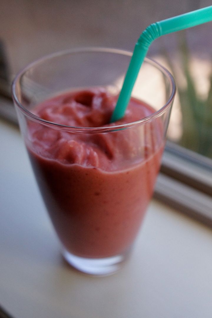 Anne's Odds and Ends Orange Julius Recipe in the Vitamix